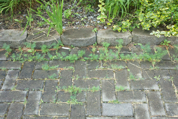 faydalı-bilgiler-09